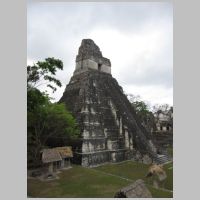 Tikal, photo throgers, flickr.jpg